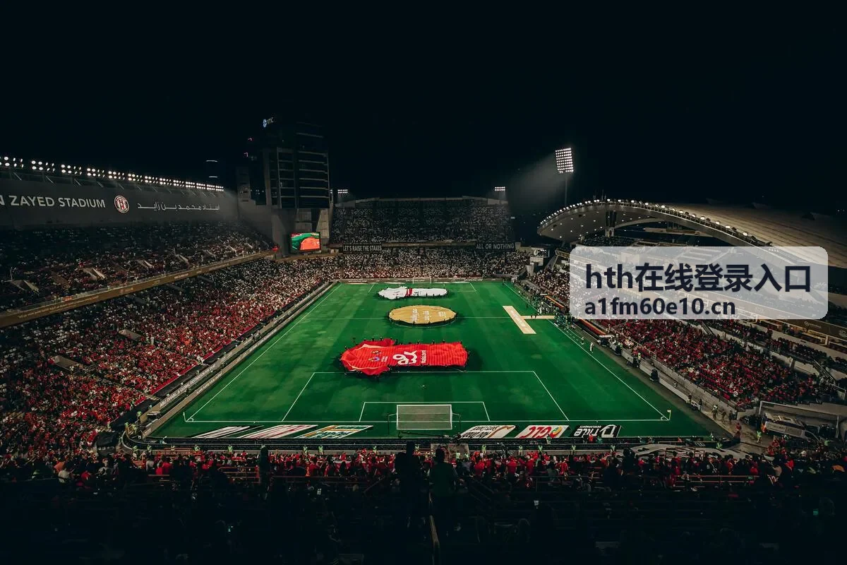 hth在线登录入口账号安全验证操作示意图