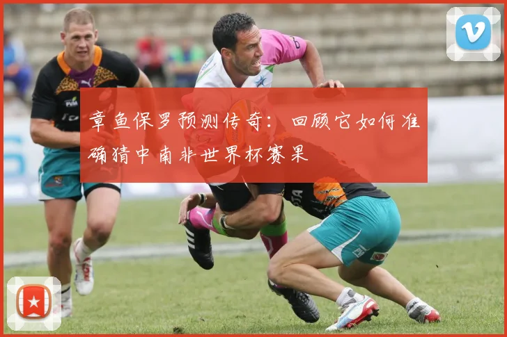 章鱼保罗预测传奇：回顾它如何准确猜中南非世界杯赛果