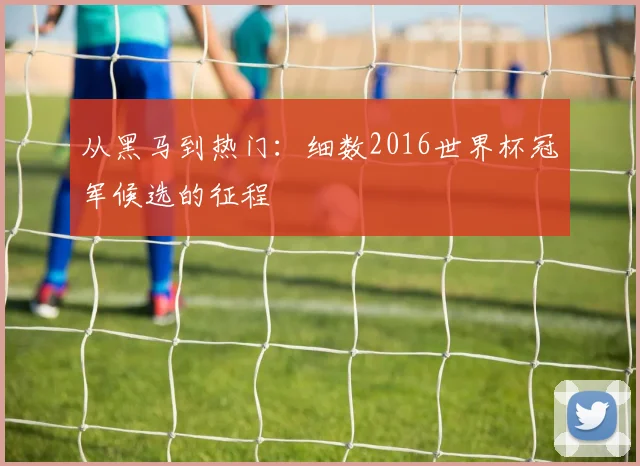 从黑马到热门：细数2016世界杯冠军候选的征程