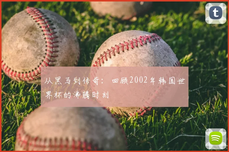 从黑马到传奇：回顾2002年韩国世界杯的沸腾时刻