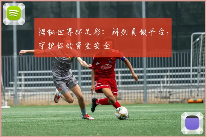 揭秘世界杯足彩:辨别真假平台,守护你的资金安全
