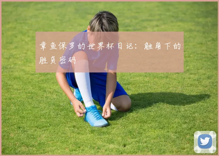 章鱼保罗的世界杯日记：触角下的胜负密码