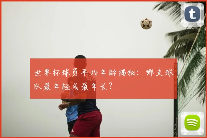 世界杯球员平均年龄揭秘：哪支球队最年轻或最年长？