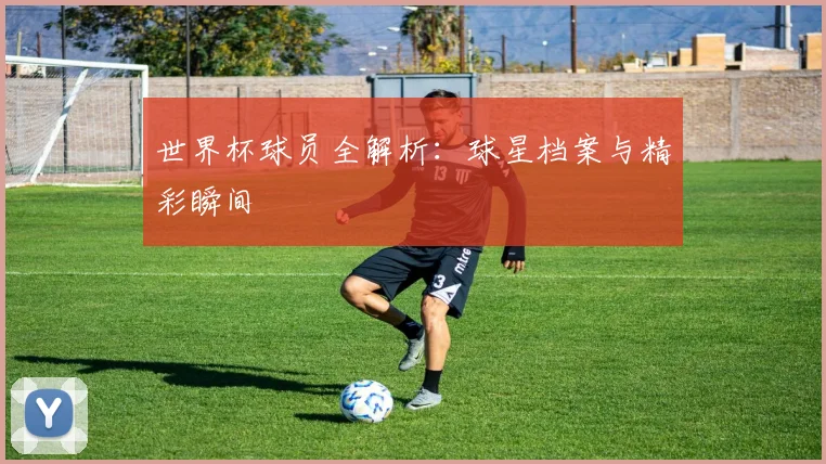 世界杯球员全解析：球星档案与精彩瞬间