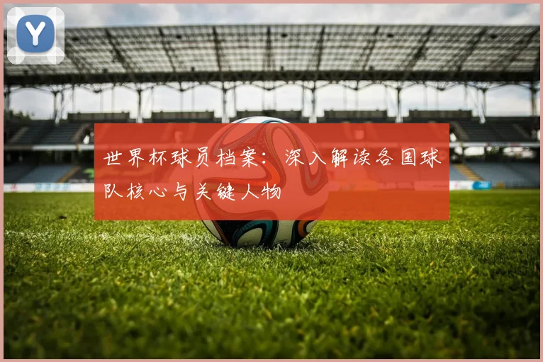 世界杯球员档案：深入解读各国球队核心与关键人物